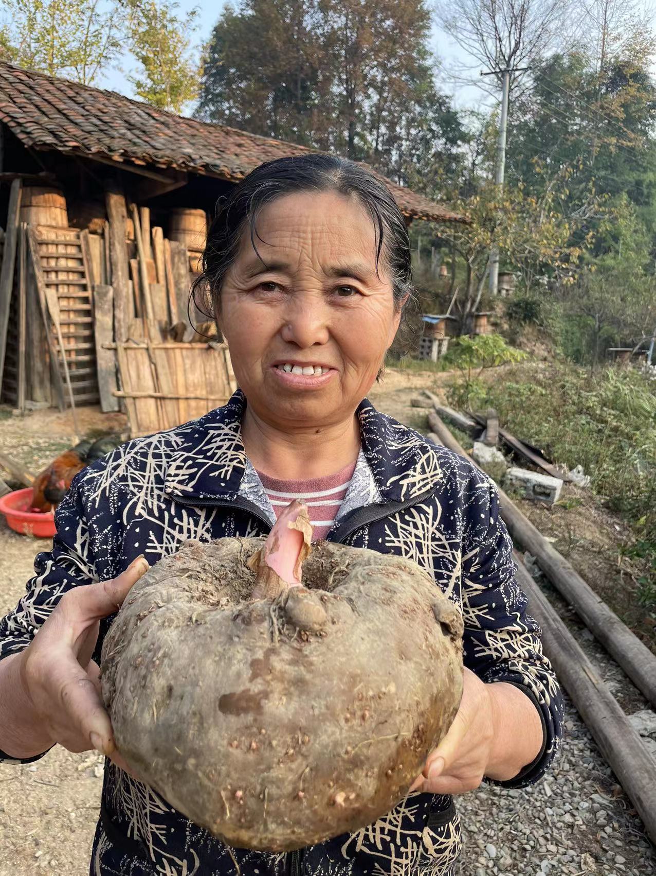 纯手工魔芋豆腐散装称重