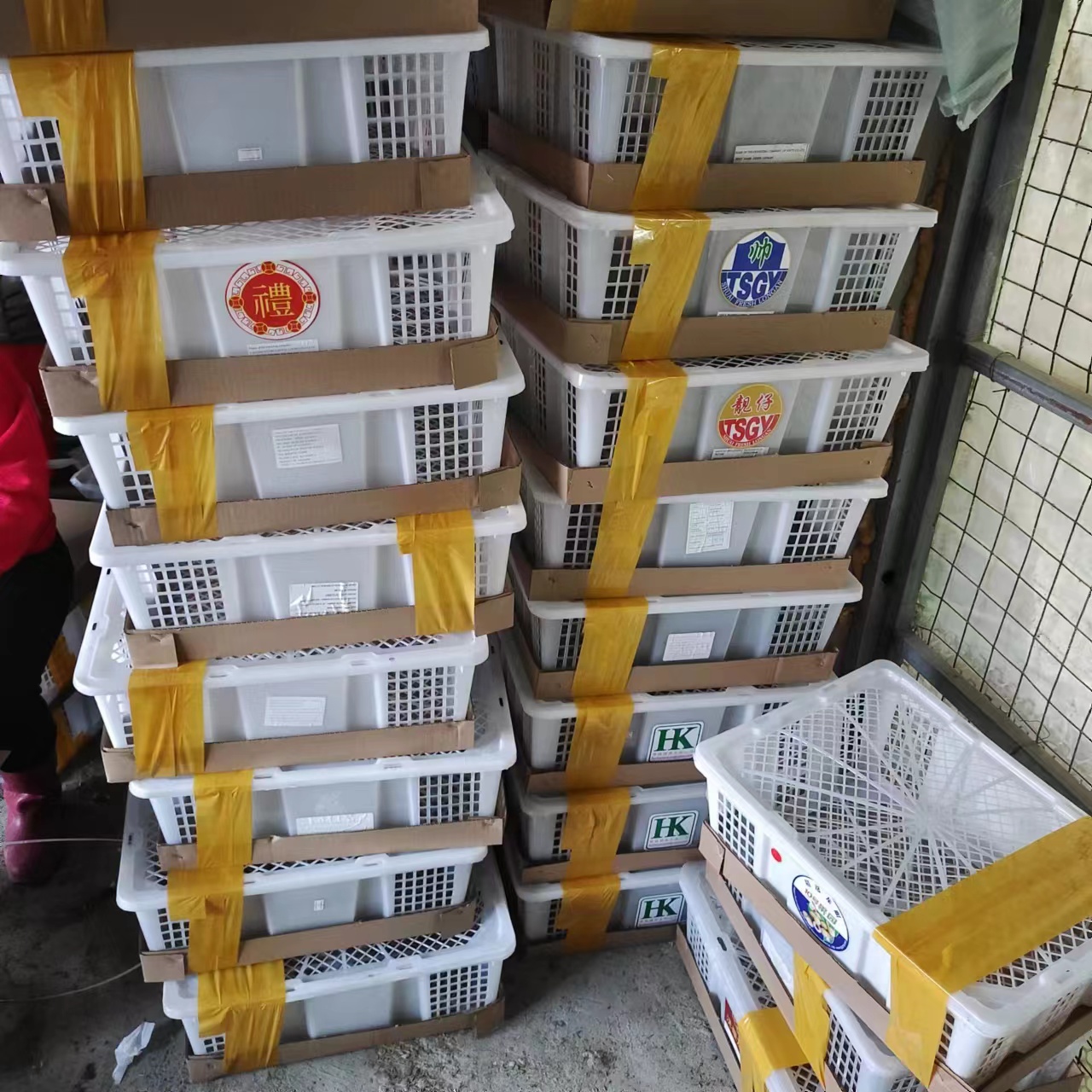 运输笼塑料框农村养殖设备五金用品投料机