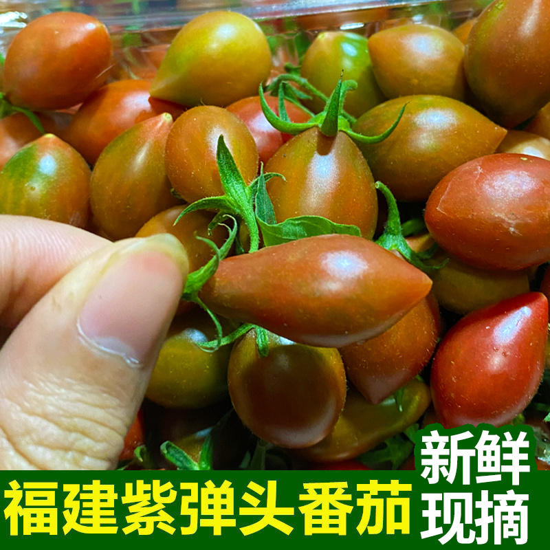 紫弹头迷彩小番茄新鲜圣女果紫葡萄番茄当季水果自然熟现摘沙拉
