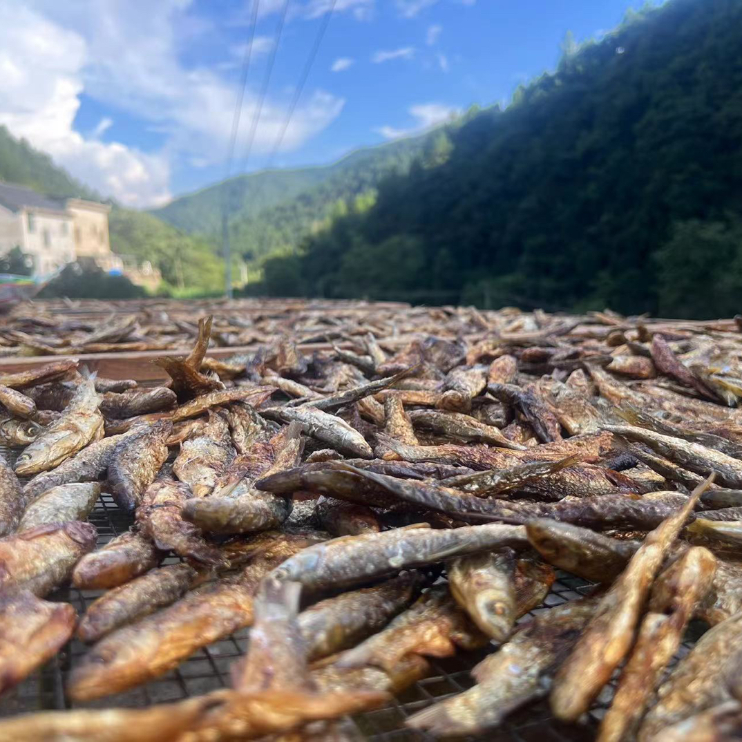 江西玉山紫湖（鱼干）
