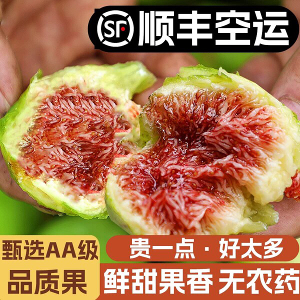 5斤装山东威海特产青皮无花果新鲜顺丰空运包邮