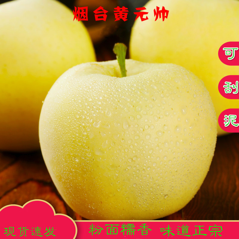 正宗烟台黄金帅黄元帅苹果粉面糯香黄香蕉新鲜水果沙刮泥老品种