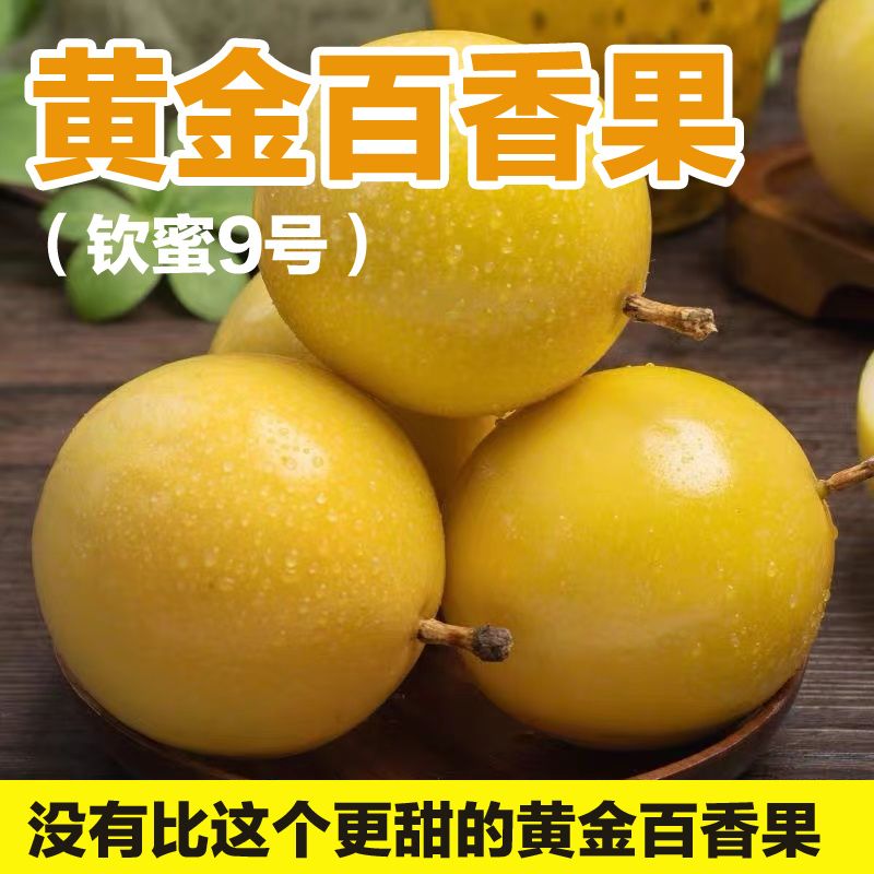 钦蜜9号黄金百香果新鲜整箱包邮黄金果当季果黄色纯甜孕妇辅食5斤