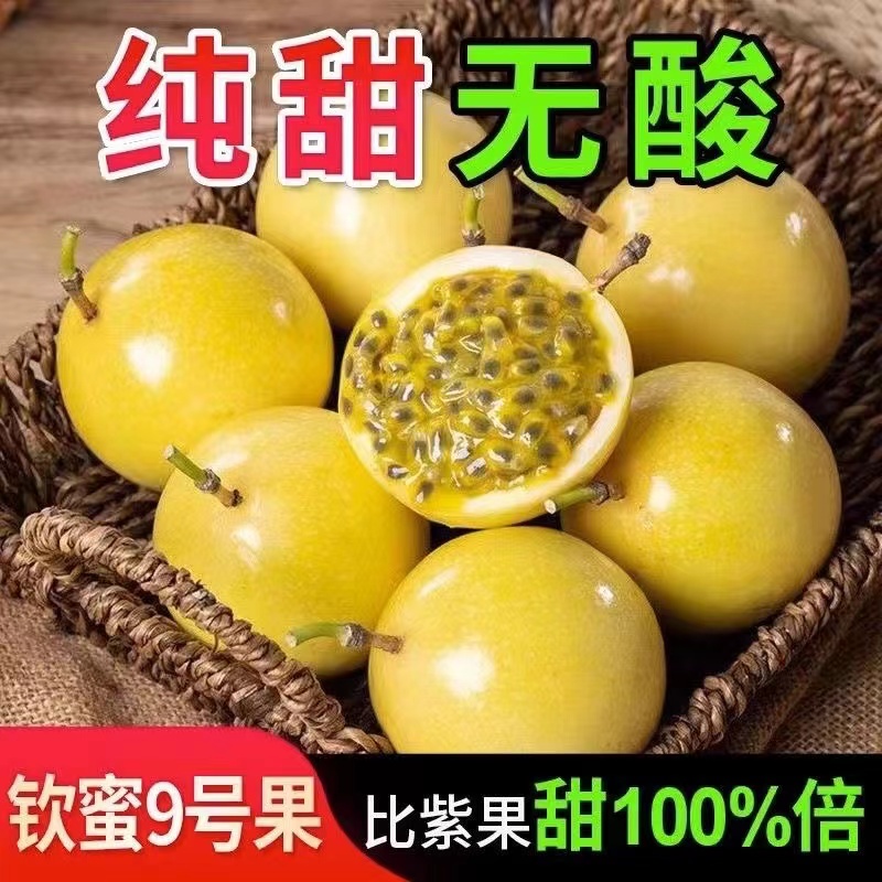 新鲜摘当季水果正宗福建黄金百香果纯甜饱满百香果1斤百香果大果