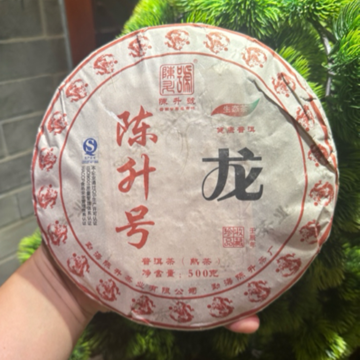 【问茶事】CS2012年龙饼生茶500克/熟茶