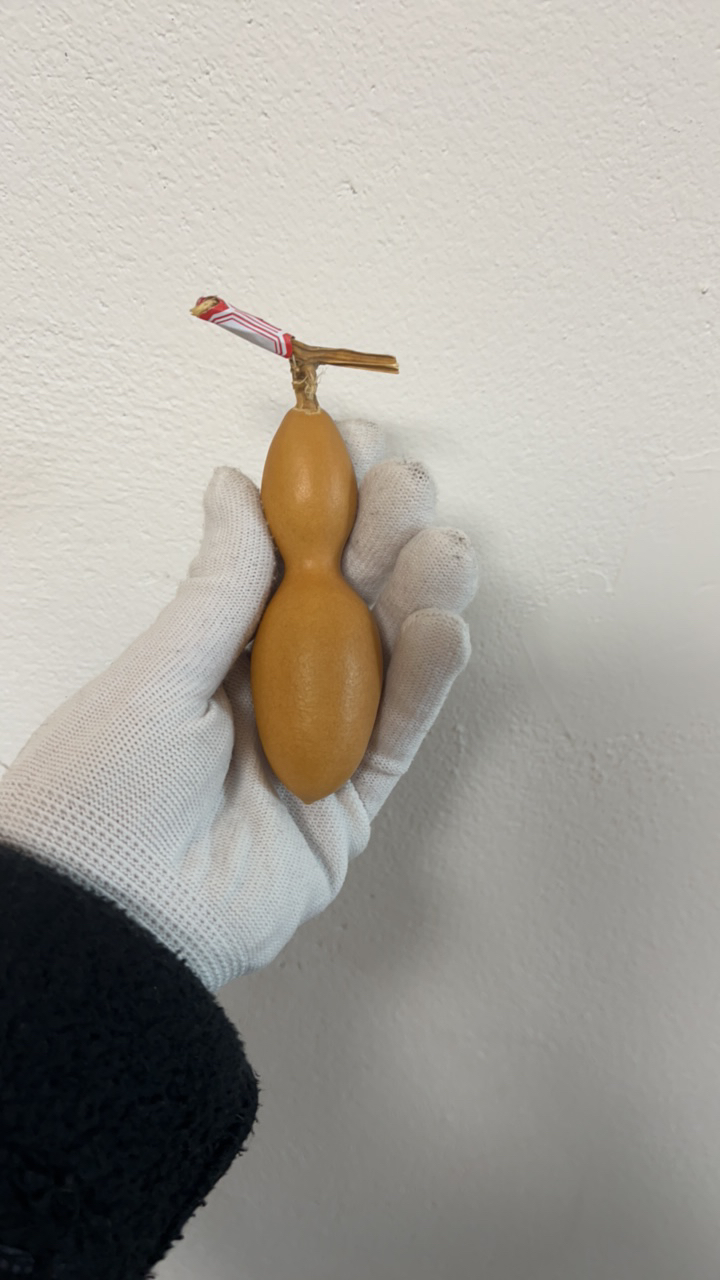 精品小葫芦，直播间看实物，小黄车下单哦