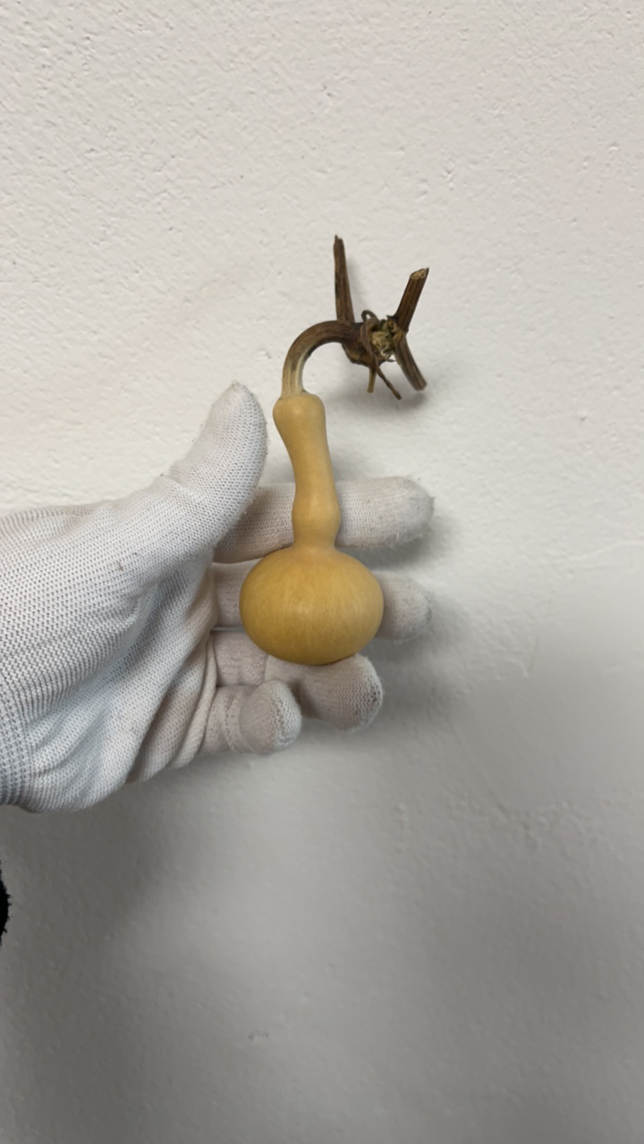 葫芦精品小葫芦，直播间看实物，小黄车下单