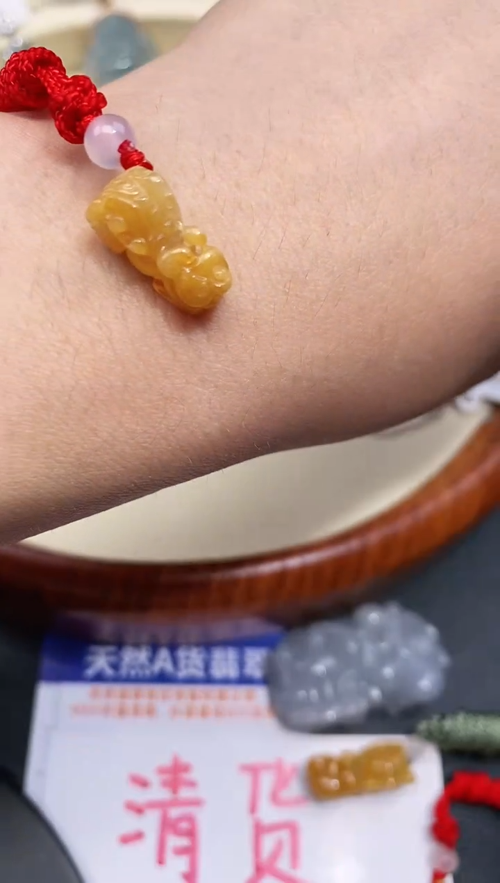 【闪购商品】翡翠颈饰未镶嵌