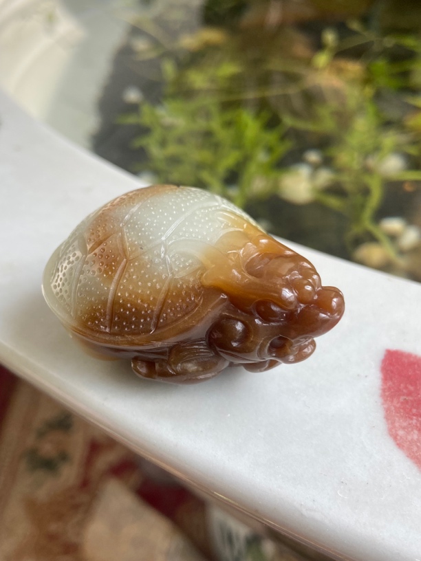 和田玉俏色巧雕糖色古兽龙龟手把件大件渐变拼色龙龟挂件