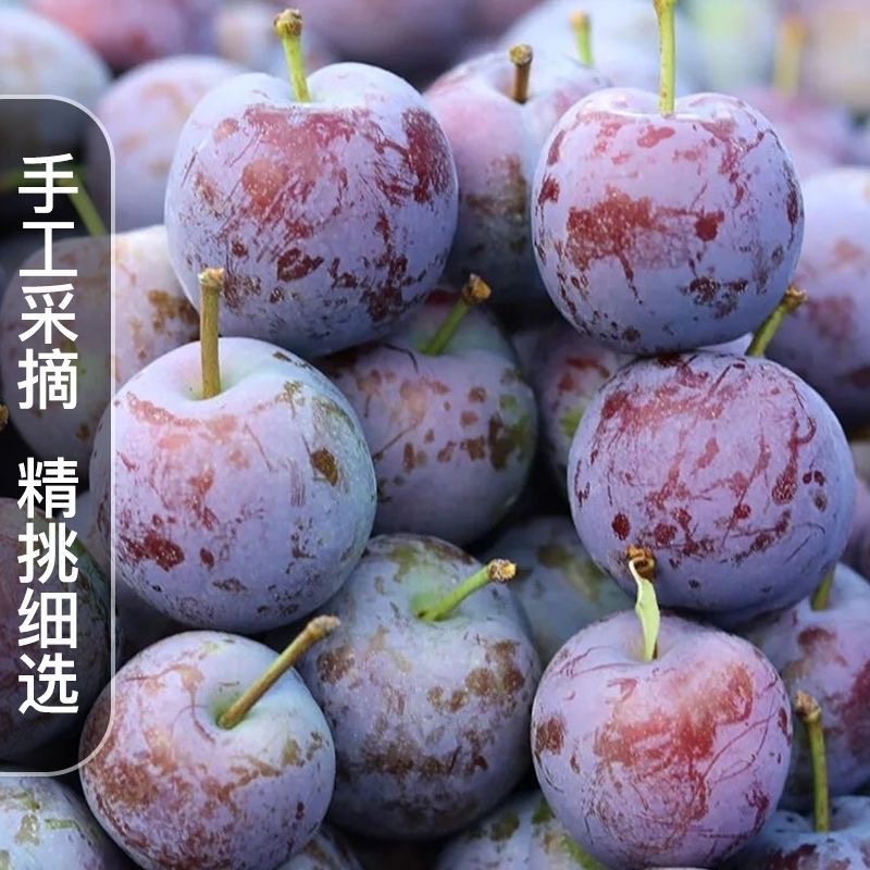 [脱骨李]高山小脆红李子新鲜爽脆中大果多汁大果发货果园现摘现发