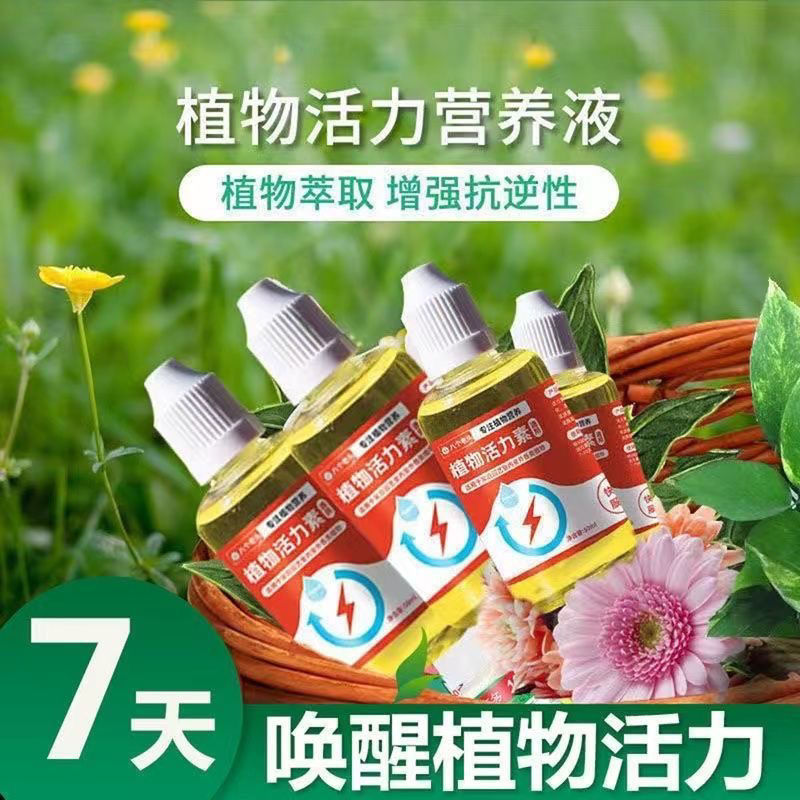 植物活力素养花专用通用型家用快速变活生根剂氮磷钾促花枯萎促进