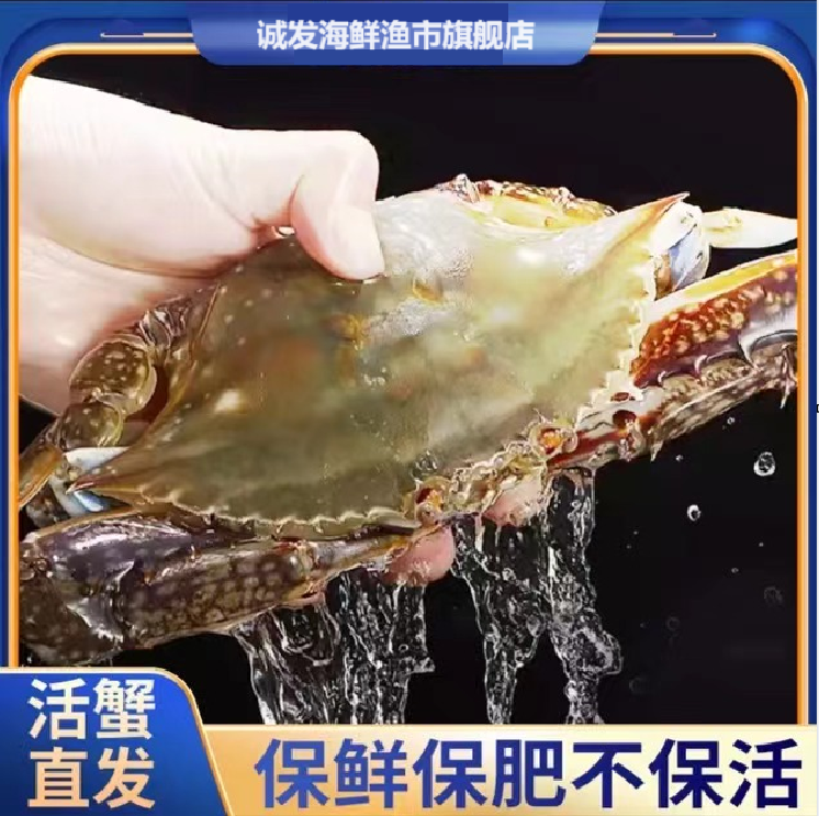 《鲜活》3两到半斤梭子蟹包鲜包肥（一斤装）