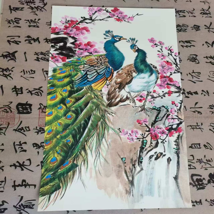 静儿老师零基础孔雀大课