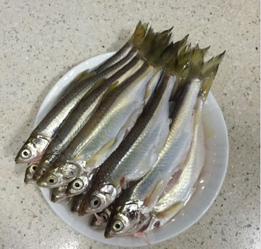 嘴嘴家土货大翘嘴鱼直播间一物一拍