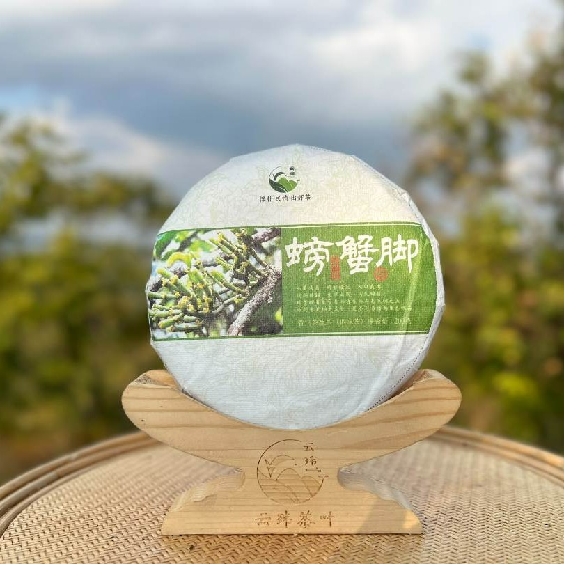 云玮茶叶景迈山螃蟹脚2020年普洱生茶200克（调味茶、紧压茶）