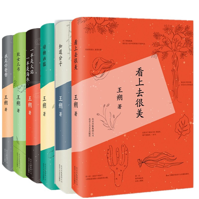 王朔文集 作品集全集6册 中国现当代文学小说长篇代表作