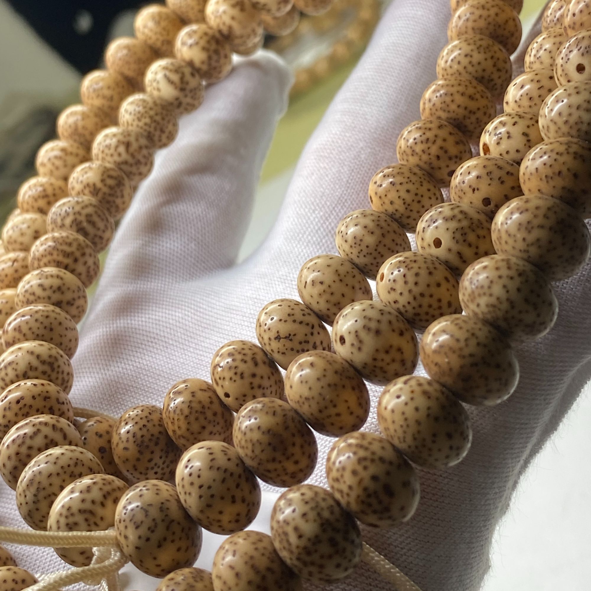 经典收藏极陈籽虎皮豹纹9/13玄月大苹果W85