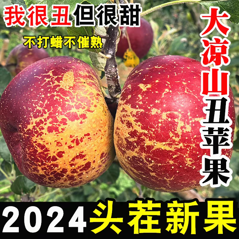大凉山盐源脆甜爽口丑苹果当季新鲜水果红富士苹果孕妇水果整箱
