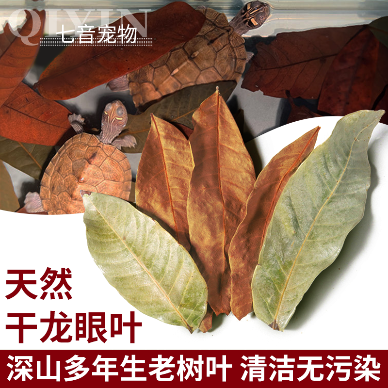 超萌好物龙眼叶养龟改善水质免煮红绿色叶龟缸周转箱造景躲避