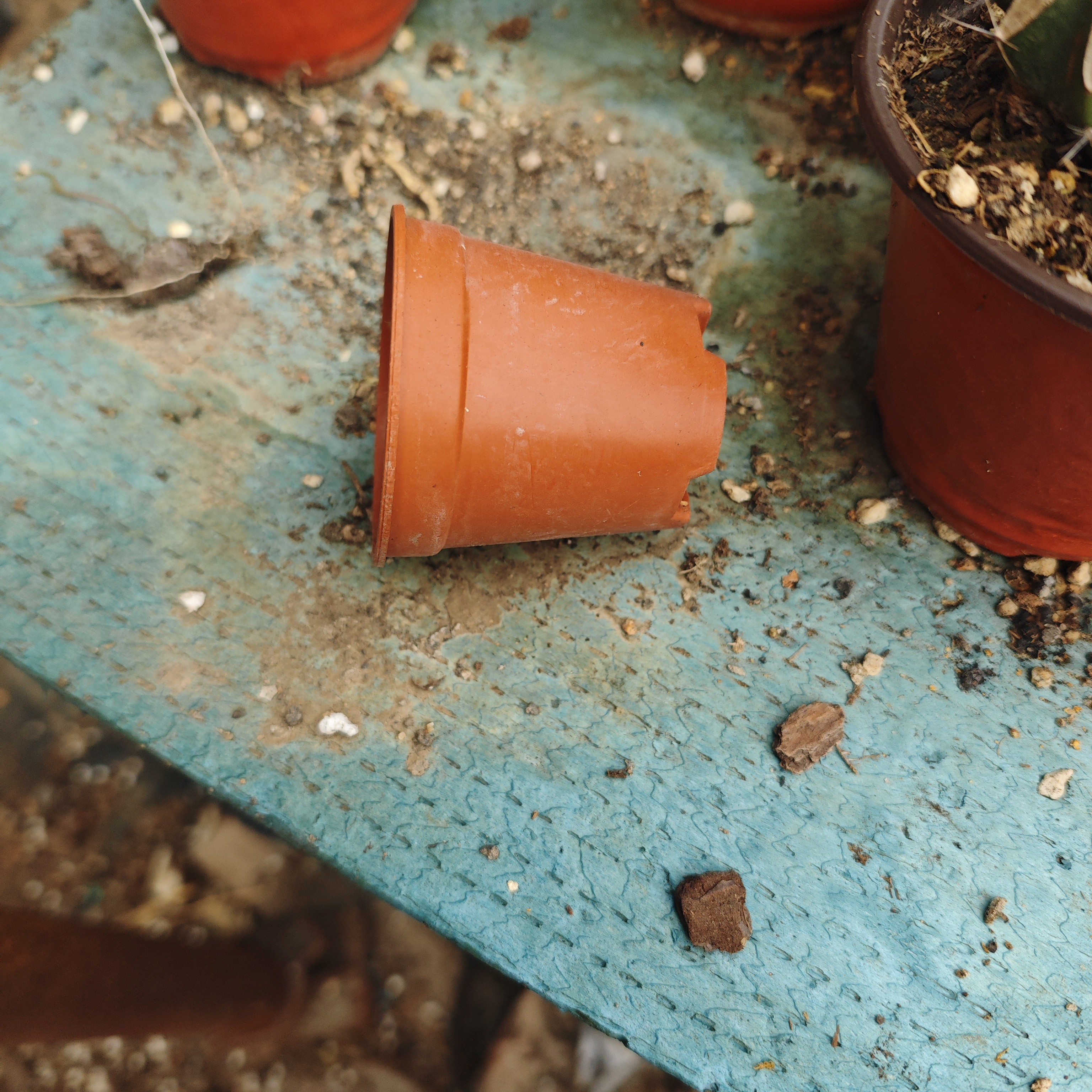 多肉植物仙趣园链接