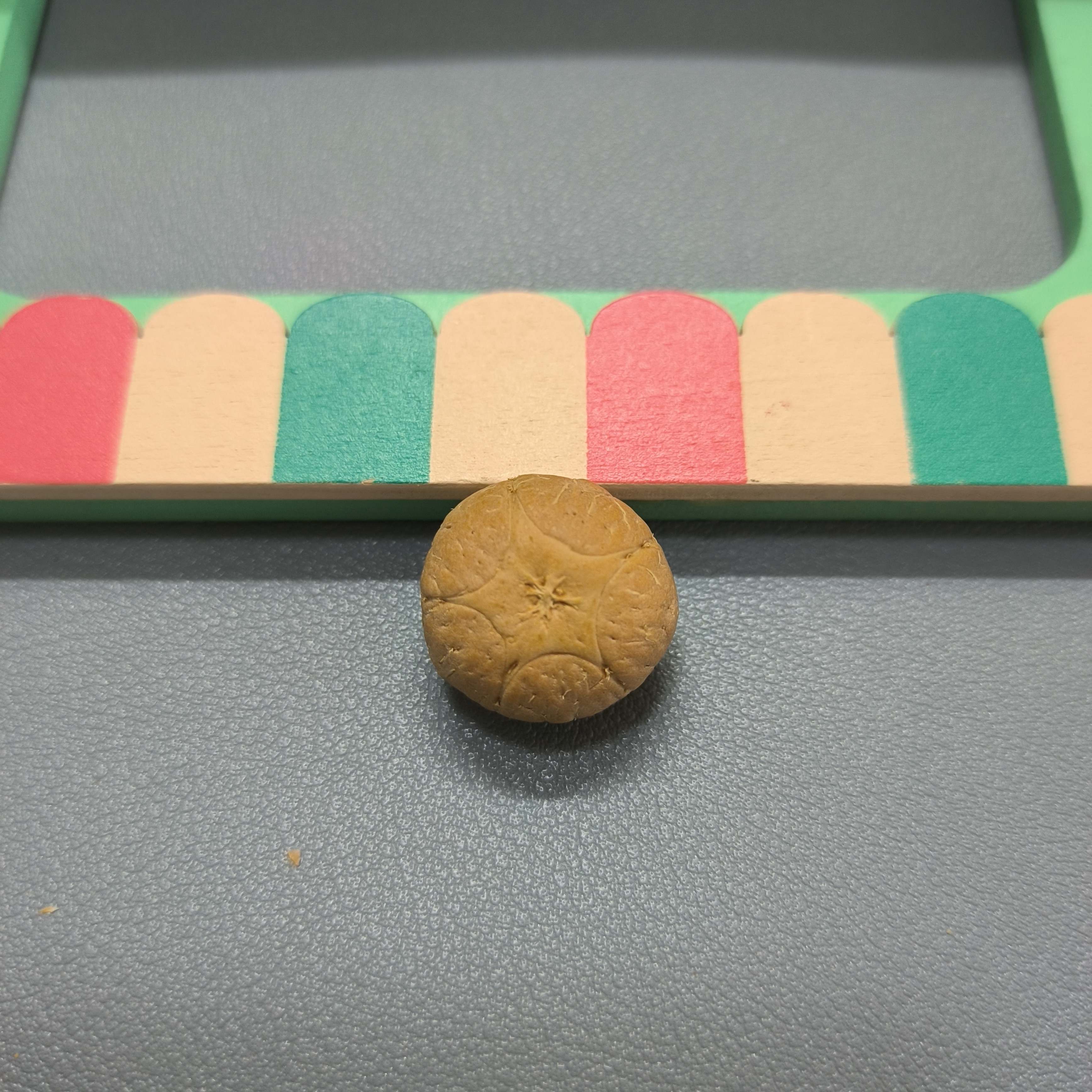 【WF519015】24年新籽直径19mm厚13mm五星单颗尼泊尔凤眼菩提