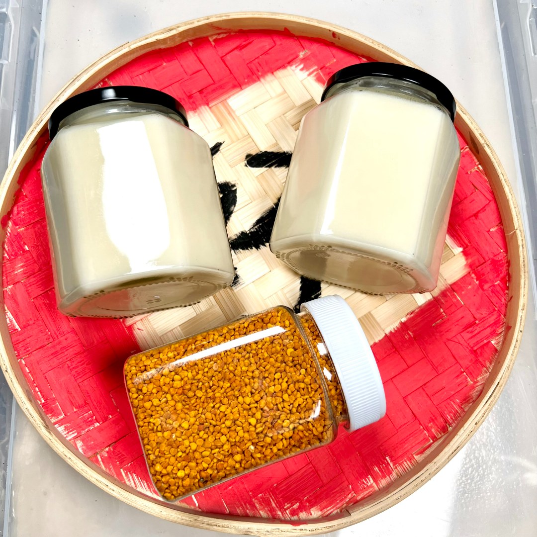  椴树雪蜜2瓶，茶花粉1瓶 组合装   天然原蜜采集