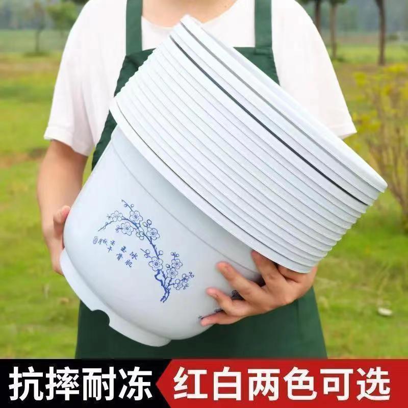 花盆塑料仿陶瓷特价清仓处理特大号绿萝植物托盘加厚耐用批发花盆