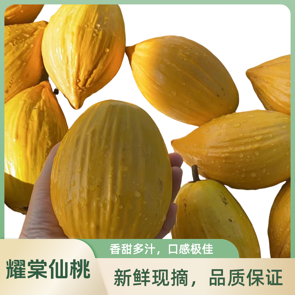 耀棠仙桃果 仙桃果 湿包蛋黄果