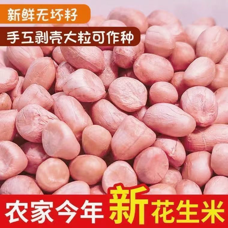 2024年优质生白沙花生米食用榨油3斤5斤新鲜无壳粉大粒白沙农产品
