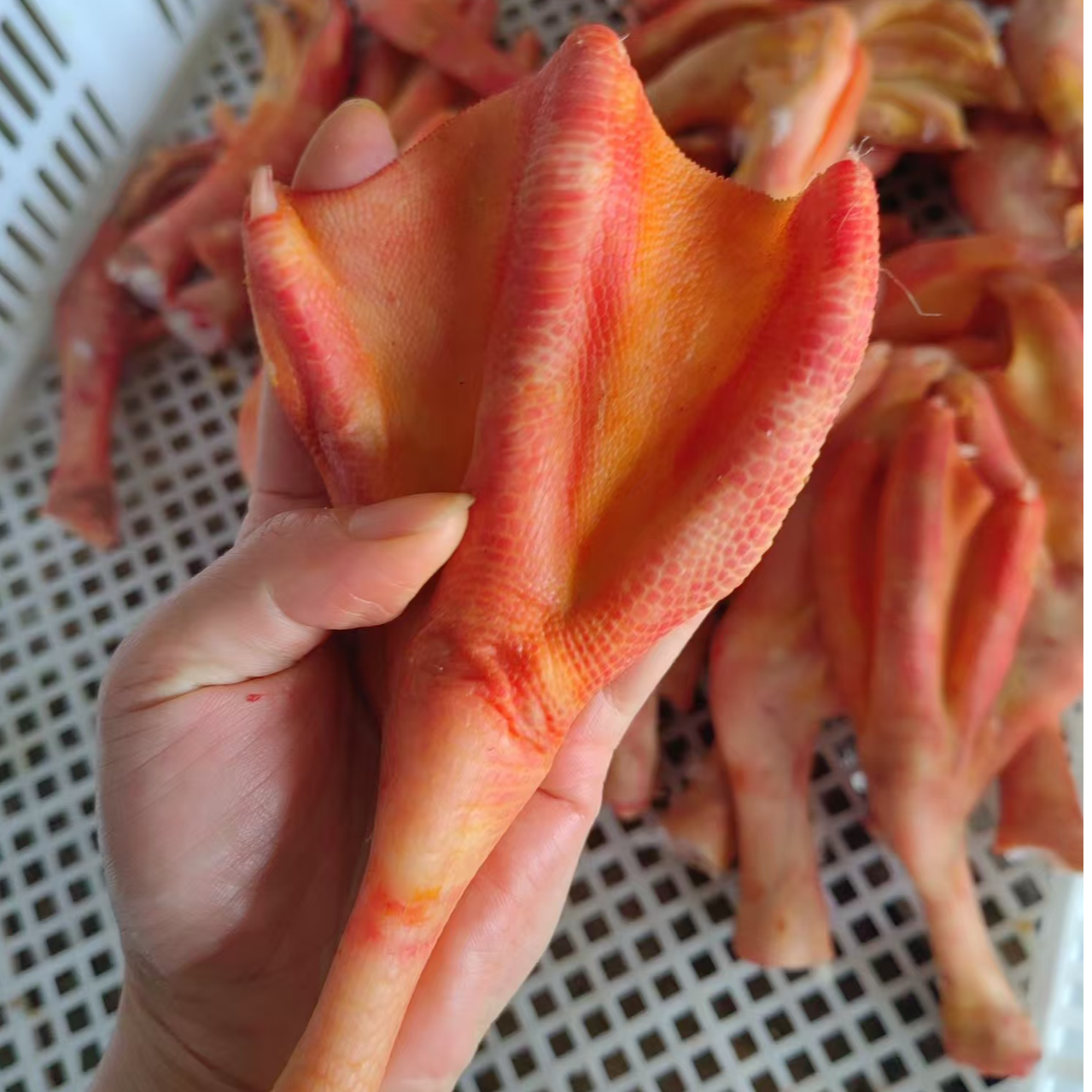 皖西白鹅鹅肫爪新鲜鹅肫爪大鹅爪（有肫有爪，冷冻发货）