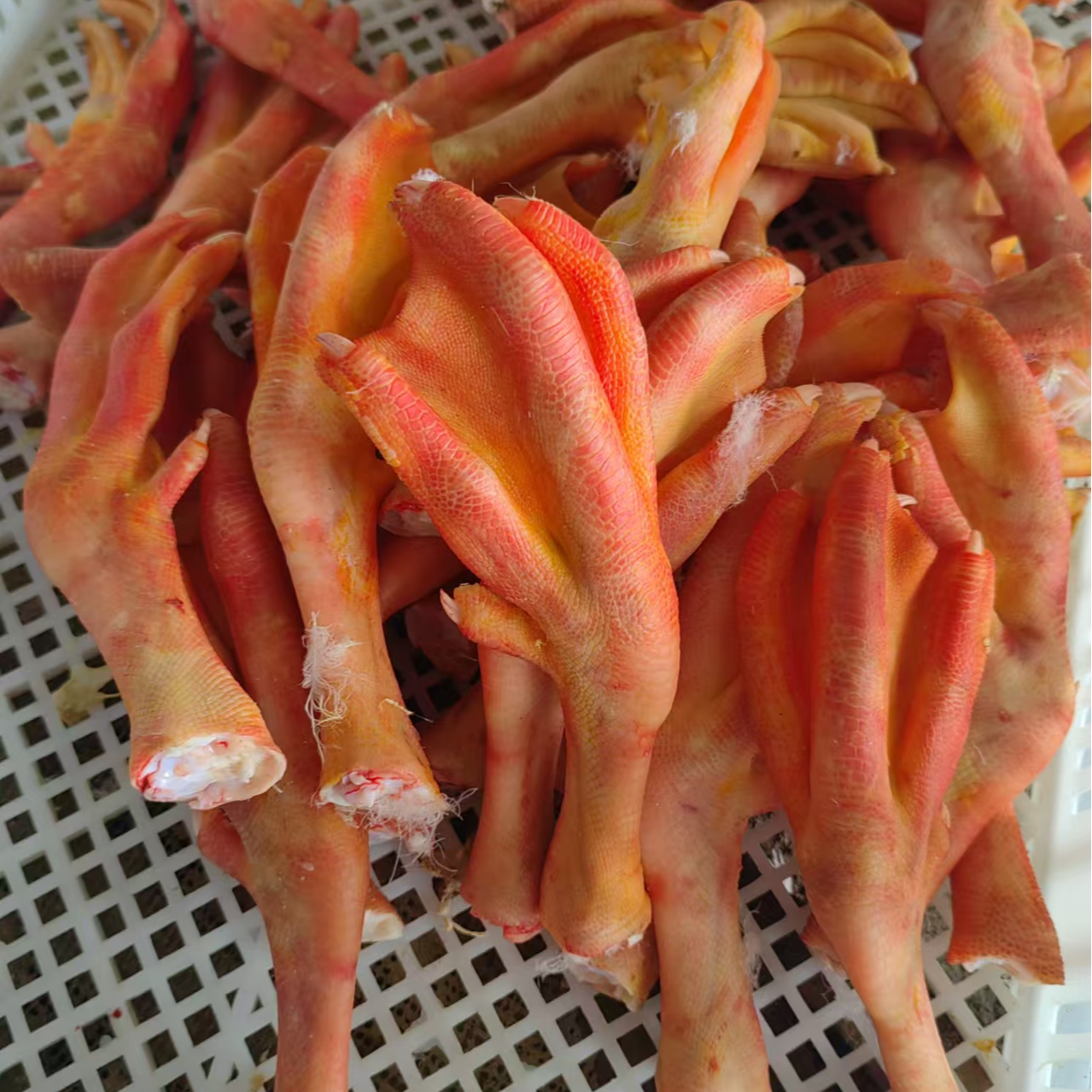 皖西白鹅鹅爪皖西白鹅鲜鹅爪（只有鹅爪，冷冻发货）