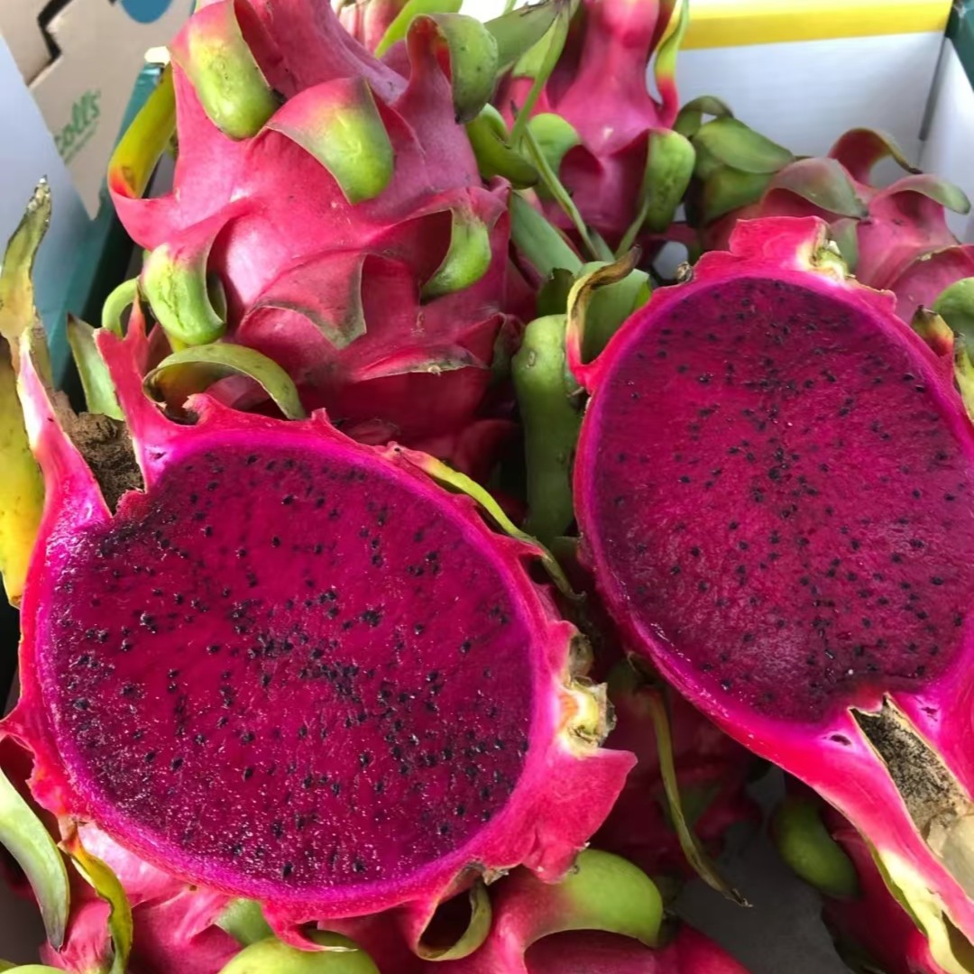 越南红心火龙果9.9元一个【450克左右】