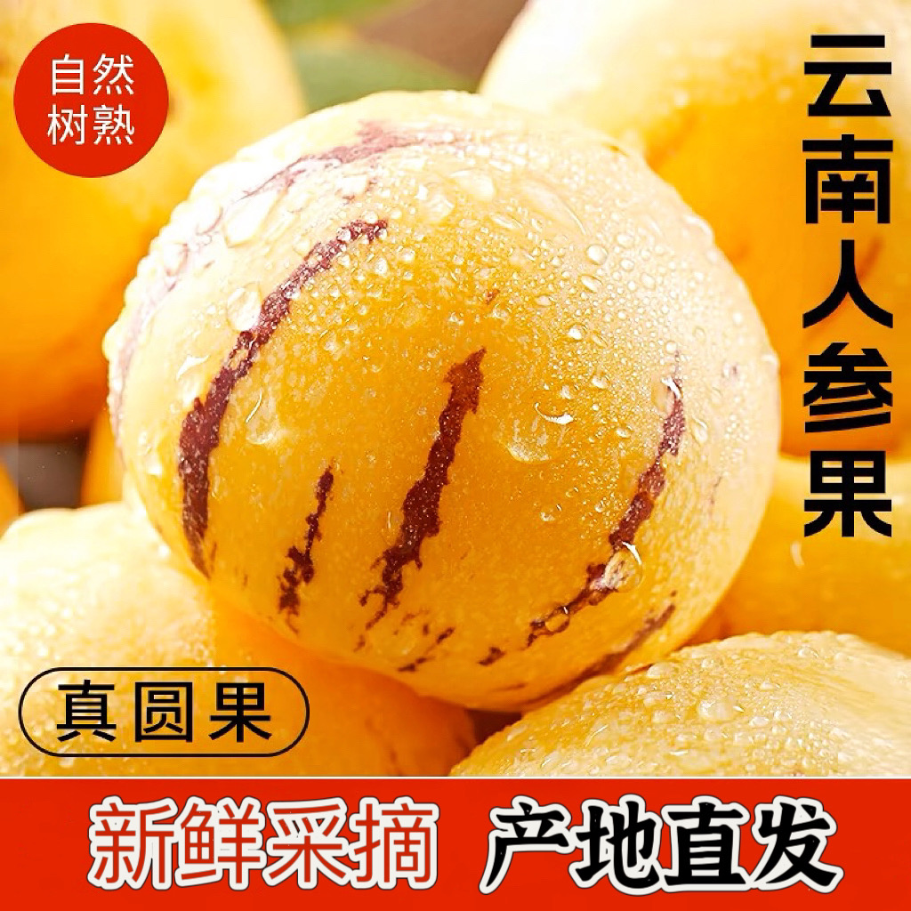 8云南石林人参果黄心圆果新鲜采摘5斤装