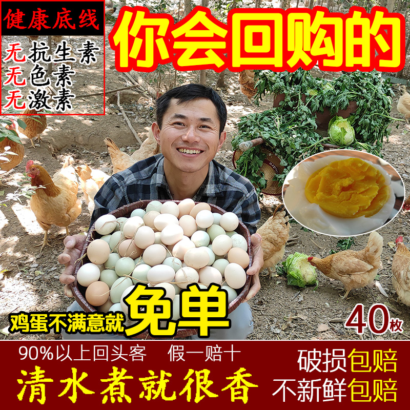 野外林下散养土鸡蛋40枚柴鸡蛋新鲜农家自养富硒月子虫草笨鸡蛋