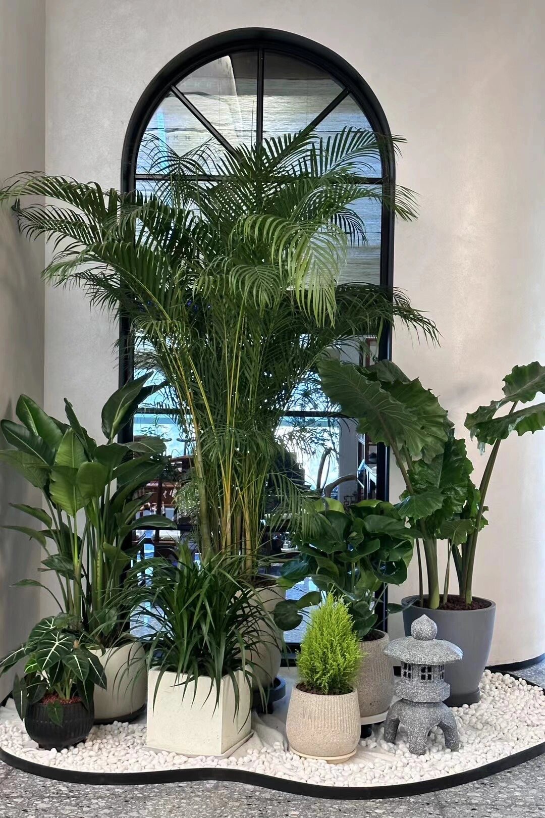 年宵花卉盆栽年桔绿植一物一拍原生瓦盆