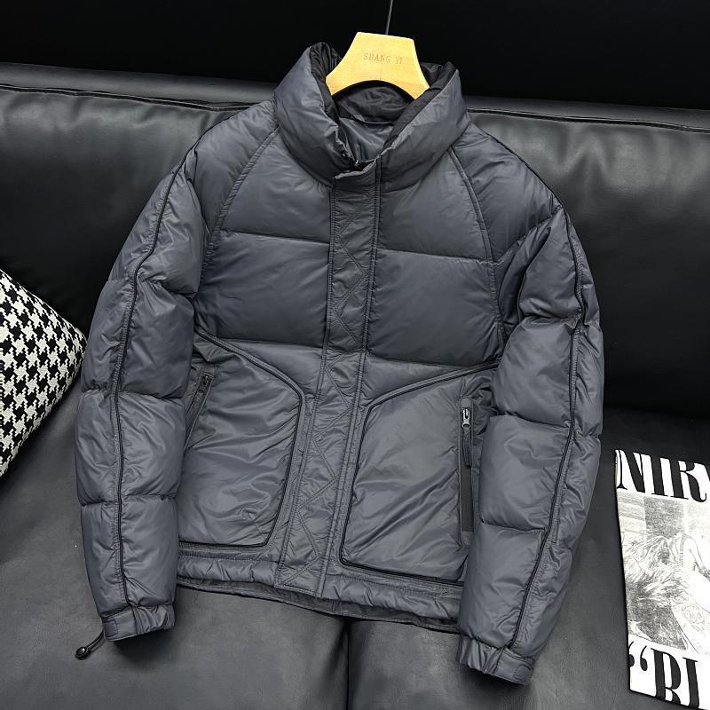 休闲灰色立领羽绒服外套男士潮流时尚韩版棉服白鸭绒外衣