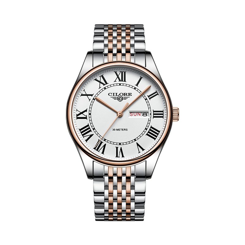 男士多功能全自动机芯手表男腕表（南方）新