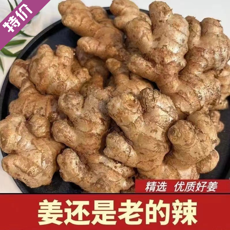 出口级精选云南小黄姜现挖老姜新鲜净重生姜包邮1-9斤云南高山