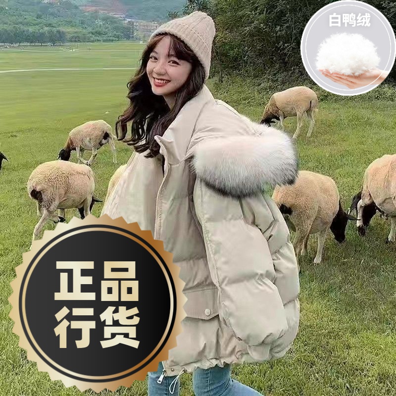鸭鸭羽绒服新款爆款季女士女款韩版宽松面包加厚连帽带毛领短款