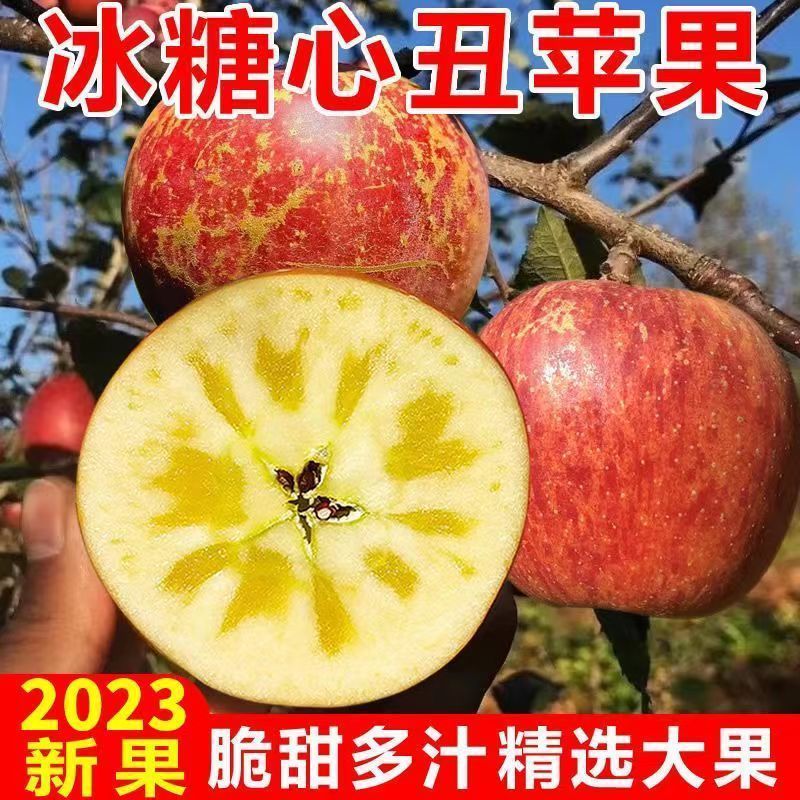 苹果水果新鲜盐源大凉山冰糖心丑苹果现摘新果孕妇当季整箱红富士