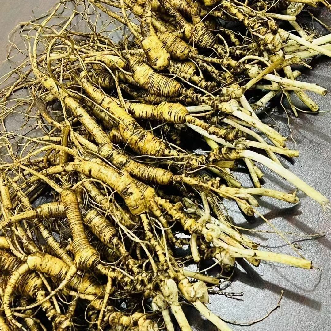 【20年左右高龄林下参】长白山人参林下参煲汤泡酒送礼