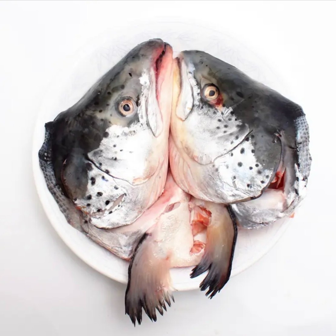 S+【阿不生鲜开播】挪威三文鱼头鱼尾 香煎煲汤皆可