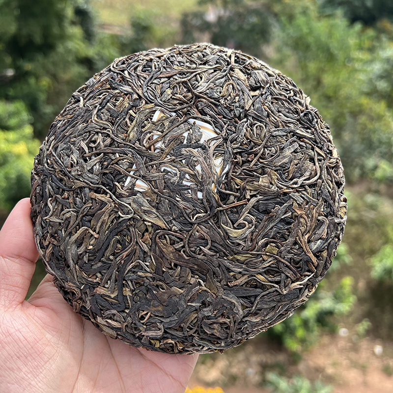 2023年【曼松王子山】 大树头春  普洱茶（生茶）200克饼 曼松贡茶