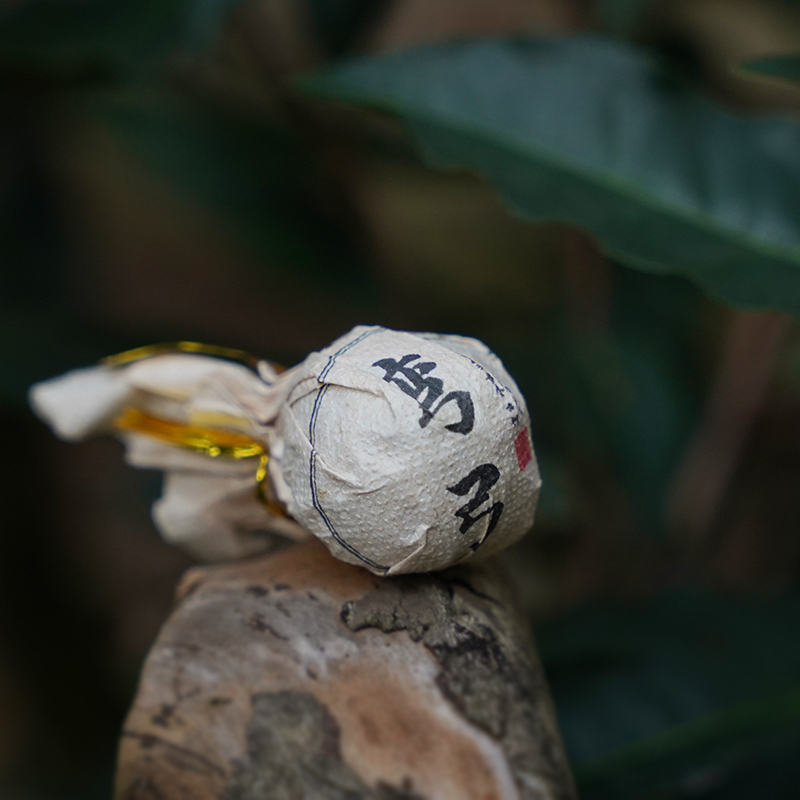 2019年 弯弓国有林古树龙珠 8g手工龙珠 5颗袋装（正装试喝）