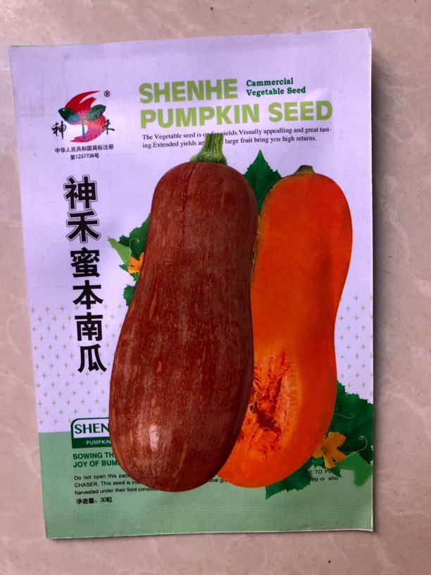密本南瓜杂交三十粒