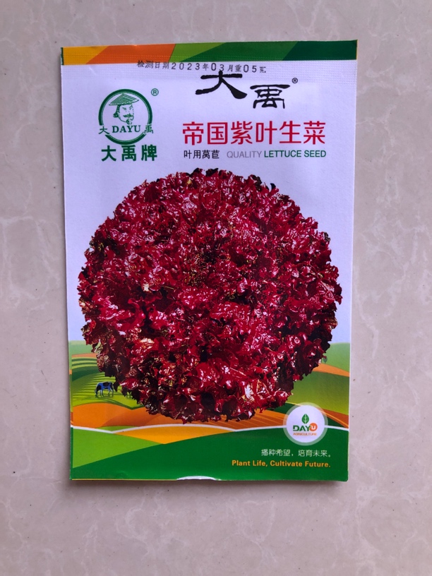 大禹紫叶生菜种子