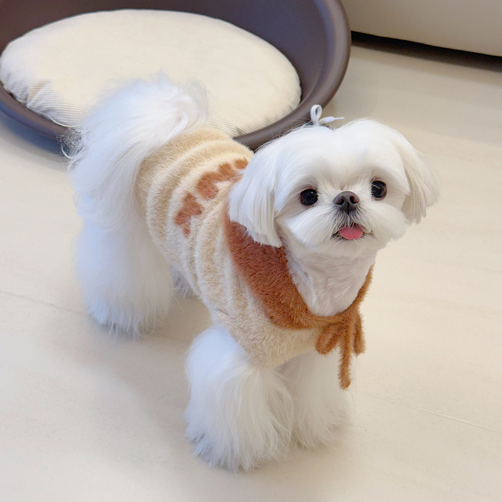 狗狗冬天衣服宠物猫咪比熊雪纳瑞泰迪马尔济斯小型犬连帽加绒卫衣