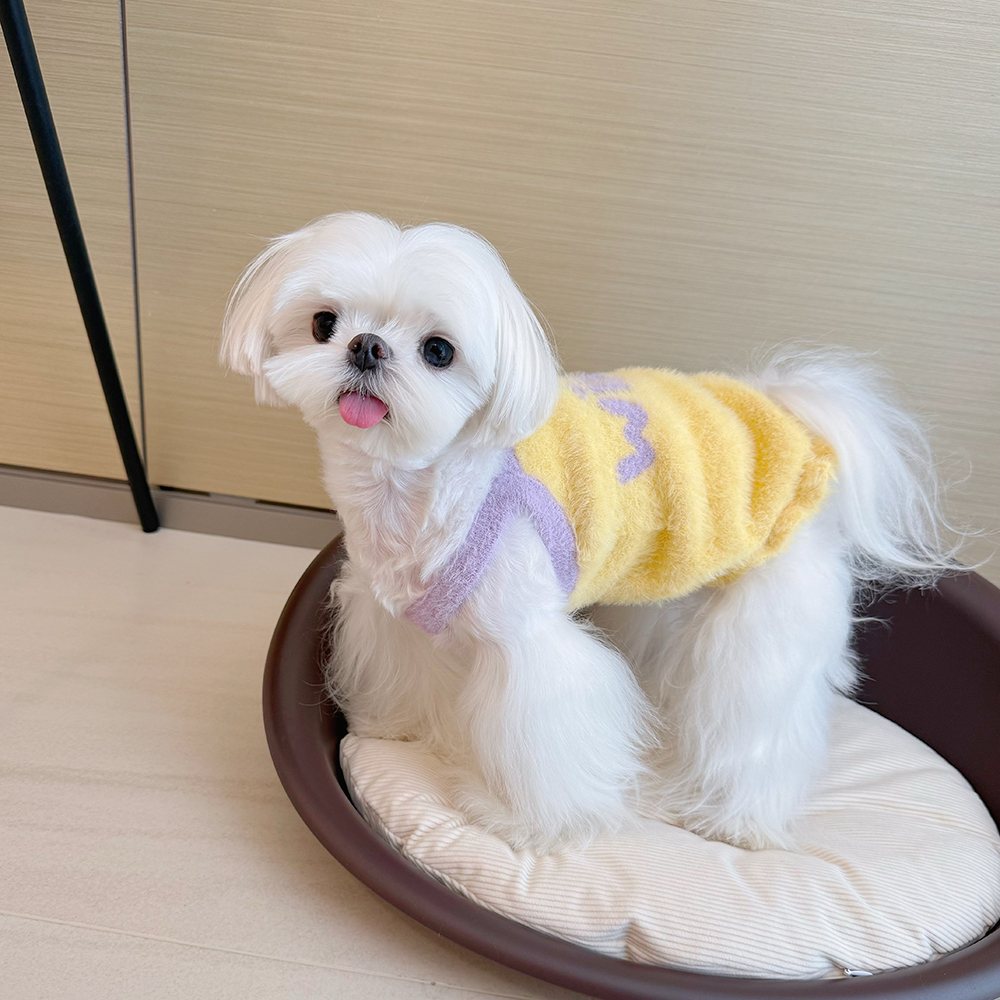 狗狗衣服秋冬款比熊雪纳瑞约克夏马尔济斯泰迪小型犬宠物毛衣保暖