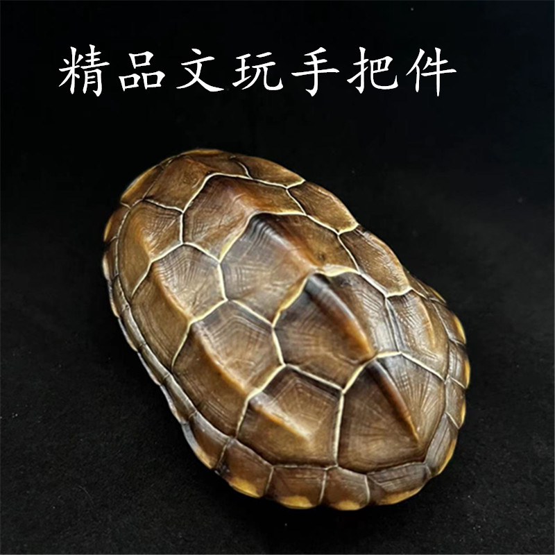 真龟壳摆件 盘玩 摆件 手把件