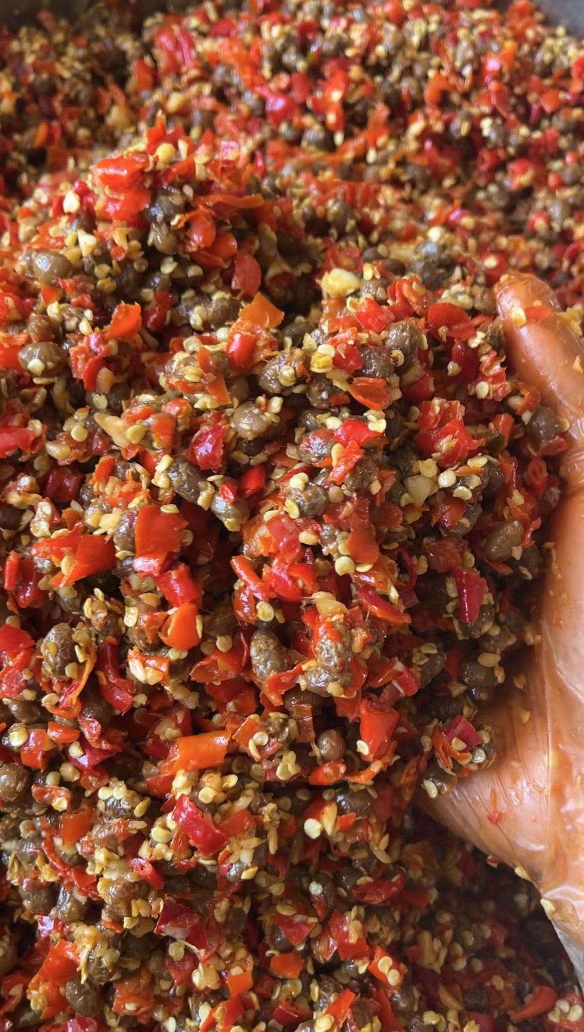 下饭菜 邵阳土特产 放菜籽油豆豉开盖及时早餐夜宵油豆豉